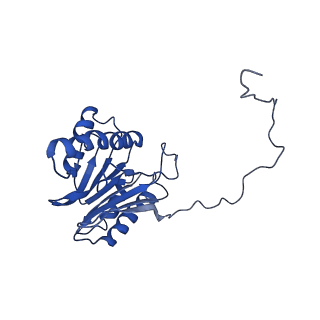 9045_6ef3_2_v1-3
Yeast 26S proteasome bound to ubiquitinated substrate (4D motor state)