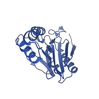 9045_6ef3_3_v1-3
Yeast 26S proteasome bound to ubiquitinated substrate (4D motor state)