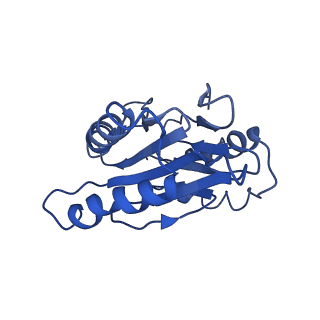 9045_6ef3_4_v1-3
Yeast 26S proteasome bound to ubiquitinated substrate (4D motor state)