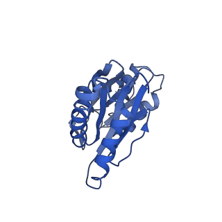 9045_6ef3_5_v1-3
Yeast 26S proteasome bound to ubiquitinated substrate (4D motor state)