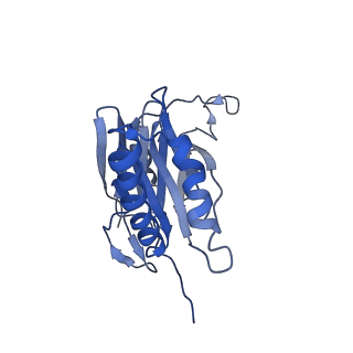 9045_6ef3_6_v1-3
Yeast 26S proteasome bound to ubiquitinated substrate (4D motor state)