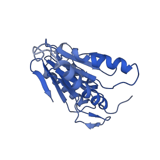 9045_6ef3_7_v1-3
Yeast 26S proteasome bound to ubiquitinated substrate (4D motor state)