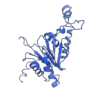 9045_6ef3_A_v1-3
Yeast 26S proteasome bound to ubiquitinated substrate (4D motor state)
