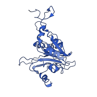 9045_6ef3_B_v1-3
Yeast 26S proteasome bound to ubiquitinated substrate (4D motor state)
