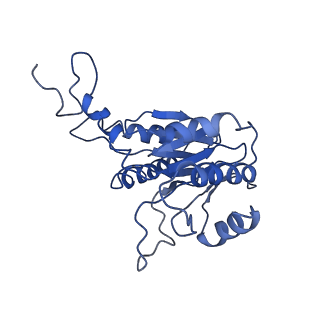 9045_6ef3_C_v1-3
Yeast 26S proteasome bound to ubiquitinated substrate (4D motor state)