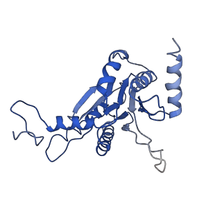 9045_6ef3_D_v1-3
Yeast 26S proteasome bound to ubiquitinated substrate (4D motor state)