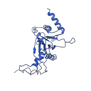 9045_6ef3_E_v1-3
Yeast 26S proteasome bound to ubiquitinated substrate (4D motor state)