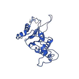 9045_6ef3_F_v1-3
Yeast 26S proteasome bound to ubiquitinated substrate (4D motor state)