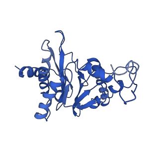 9045_6ef3_G_v1-3
Yeast 26S proteasome bound to ubiquitinated substrate (4D motor state)