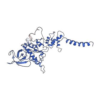 9045_6ef3_H_v1-3
Yeast 26S proteasome bound to ubiquitinated substrate (4D motor state)