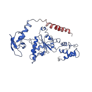 9045_6ef3_I_v1-3
Yeast 26S proteasome bound to ubiquitinated substrate (4D motor state)