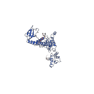 9045_6ef3_J_v1-3
Yeast 26S proteasome bound to ubiquitinated substrate (4D motor state)