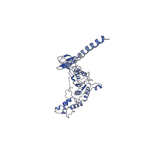 9045_6ef3_K_v1-3
Yeast 26S proteasome bound to ubiquitinated substrate (4D motor state)