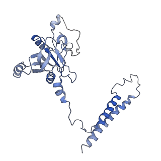 9045_6ef3_r_v1-3
Yeast 26S proteasome bound to ubiquitinated substrate (4D motor state)