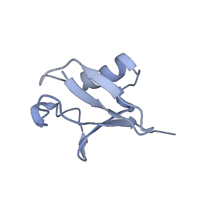 9045_6ef3_u_v1-3
Yeast 26S proteasome bound to ubiquitinated substrate (4D motor state)
