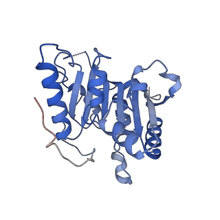 28108_8eg0_A_v1-1
CryoEM structure of human METTL1-WDR4 in complex with Lys-tRNA and SAH