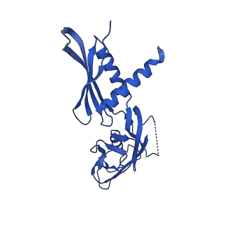 28110_8eg8_G_v1-0
Cryo-EM structure of consensus elemental paused elongation complex with a folded TL