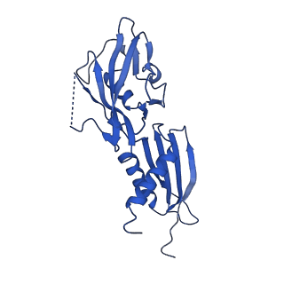 28110_8eg8_H_v1-0
Cryo-EM structure of consensus elemental paused elongation complex with a folded TL