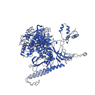 28110_8eg8_I_v1-0
Cryo-EM structure of consensus elemental paused elongation complex with a folded TL