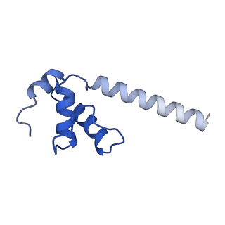 28110_8eg8_K_v1-0
Cryo-EM structure of consensus elemental paused elongation complex with a folded TL