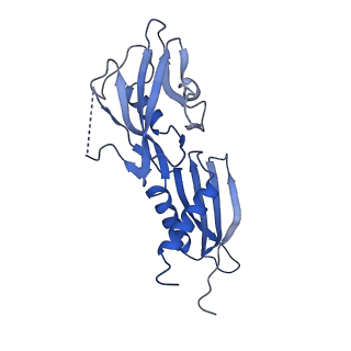 28113_8egb_H_v1-0
Cryo-EM structure of consensus elemental paused elongation complex with an unfolded TL