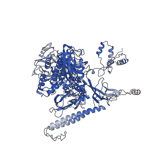 28113_8egb_I_v1-0
Cryo-EM structure of consensus elemental paused elongation complex with an unfolded TL