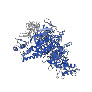 28113_8egb_J_v1-0
Cryo-EM structure of consensus elemental paused elongation complex with an unfolded TL
