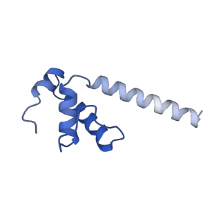 28113_8egb_K_v1-0
Cryo-EM structure of consensus elemental paused elongation complex with an unfolded TL