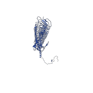 28128_8egr_C_v1-0
Upper tail structure of Staphylococcus phage Andhra