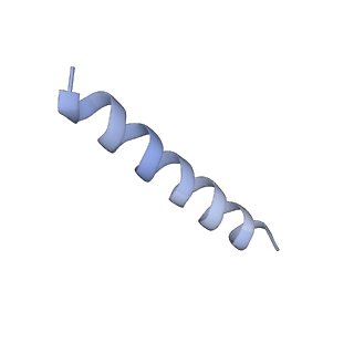 28128_8egr_V_v1-0
Upper tail structure of Staphylococcus phage Andhra