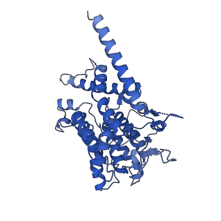 31103_7eg0_A_v1-1
Cryo-EM structure of anagrelide-induced PDE3A-SLFN12 complex