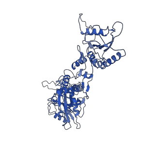 31103_7eg0_D_v1-1
Cryo-EM structure of anagrelide-induced PDE3A-SLFN12 complex