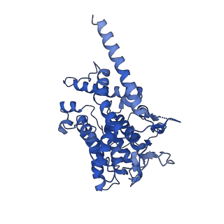 31104_7eg1_C_v1-1
Cryo-EM structure of DNMDP-induced PDE3A-SLFN12 complex