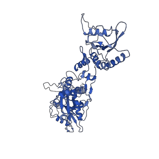 31105_7eg4_B_v1-1
Cryo-EM structure of nauclefine-induced PDE3A-SLFN12 complex