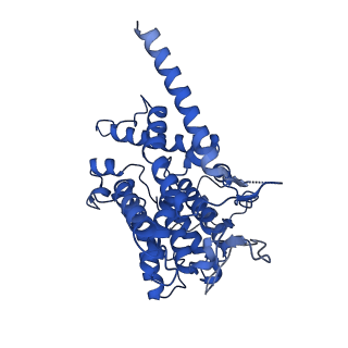 31105_7eg4_C_v1-1
Cryo-EM structure of nauclefine-induced PDE3A-SLFN12 complex