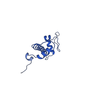 31106_7eg6_C_v1-0
Snf5 Finger Helix bound to the nucleosome