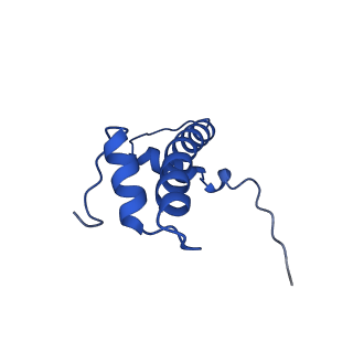 31106_7eg6_F_v1-0
Snf5 Finger Helix bound to the nucleosome