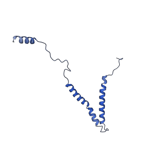 31136_7egm_A_v1-0
The SRM module of SWI/SNF-nucleosome complex