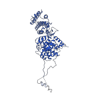 31136_7egm_B_v1-0
The SRM module of SWI/SNF-nucleosome complex