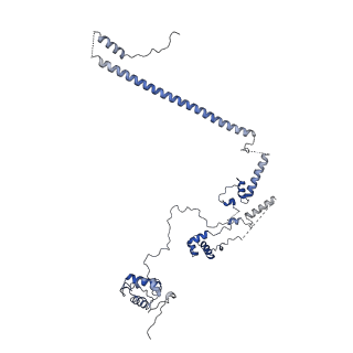 31136_7egm_D_v1-0
The SRM module of SWI/SNF-nucleosome complex