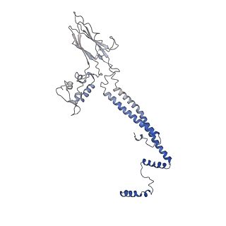 31136_7egm_H_v1-0
The SRM module of SWI/SNF-nucleosome complex