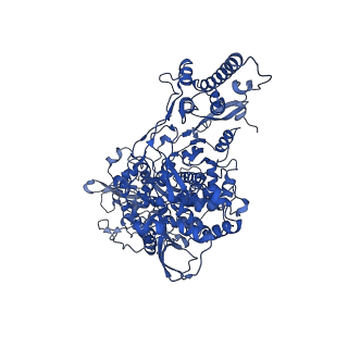 31138_7egq_A_v1-0
Co-transcriptional capping machineries in SARS-CoV-2 RTC: Coupling of N7-methyltransferase and 3'-5' exoribonuclease with polymerase reveals mechanisms for capping and proofreading