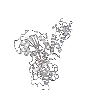 31138_7egq_F_v1-0
Co-transcriptional capping machineries in SARS-CoV-2 RTC: Coupling of N7-methyltransferase and 3'-5' exoribonuclease with polymerase reveals mechanisms for capping and proofreading