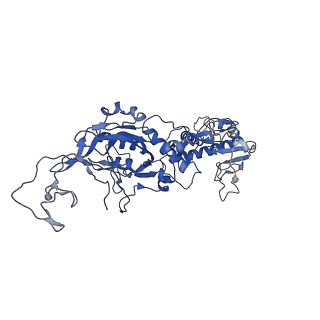 31138_7egq_K_v1-0
Co-transcriptional capping machineries in SARS-CoV-2 RTC: Coupling of N7-methyltransferase and 3'-5' exoribonuclease with polymerase reveals mechanisms for capping and proofreading
