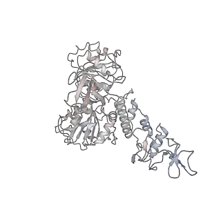 31138_7egq_S_v1-0
Co-transcriptional capping machineries in SARS-CoV-2 RTC: Coupling of N7-methyltransferase and 3'-5' exoribonuclease with polymerase reveals mechanisms for capping and proofreading