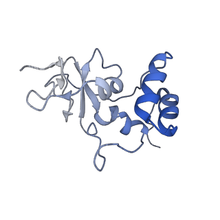 31138_7egq_U_v1-0
Co-transcriptional capping machineries in SARS-CoV-2 RTC: Coupling of N7-methyltransferase and 3'-5' exoribonuclease with polymerase reveals mechanisms for capping and proofreading