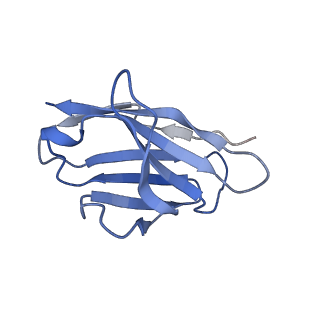 28135_8eh5_L_v1-0
Cryo-EM structure of L9 Fab in complex with rsCSP