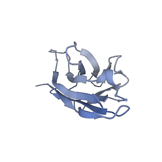 28135_8eh5_O_v1-0
Cryo-EM structure of L9 Fab in complex with rsCSP