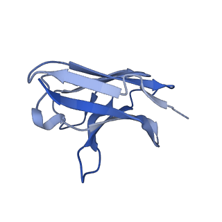 28135_8eh5_P_v1-0
Cryo-EM structure of L9 Fab in complex with rsCSP