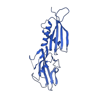 28143_8eh8_H_v1-0
Cryo-EM structure of his-elemental paused elongation complex with a folded TL and a rotated RH-FL (1)